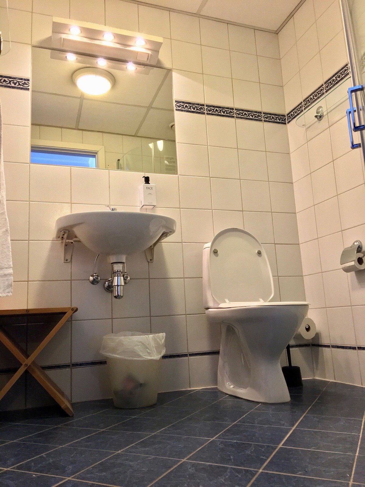A toilet and a wall-mounted basin